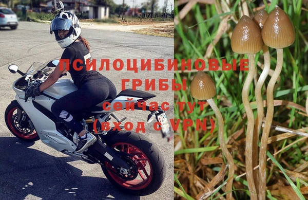 скорость Медвежьегорск