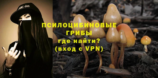 скорость Медвежьегорск