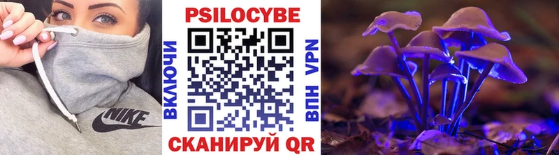 Купить  Междуреченск  Галлюциногенные грибы MAGIC MUSHROOMS 