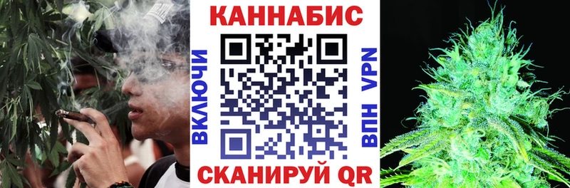 Купить где Междуреченск Бошки марихуана сатива